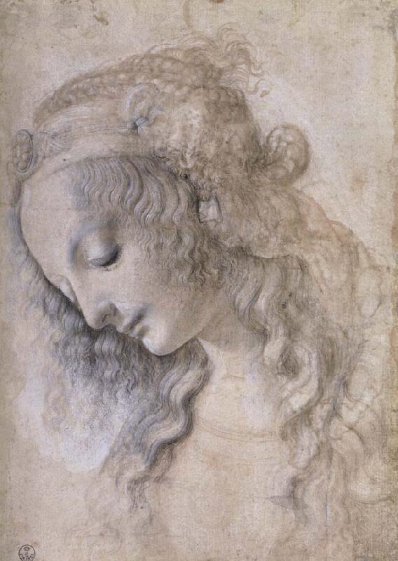 LEONARDO da Vinci Woman portrait France oil painting art